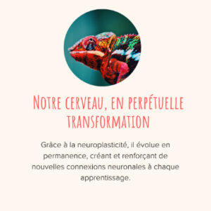 neuroplasticité